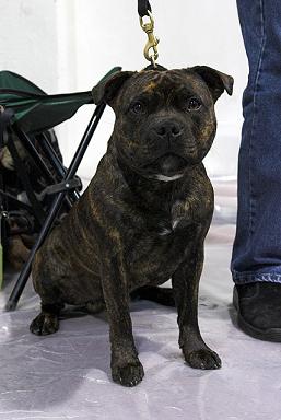 Erikoisn�yttely