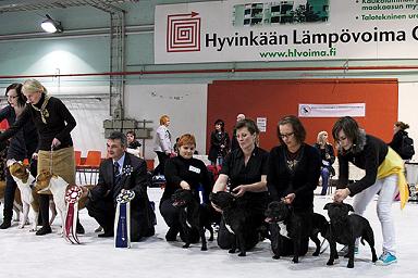Bis-kasvattaja